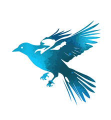 Abstract watercolor blue flying magpie. A beautiful bird in flight. Graffiti style. Vector illustration