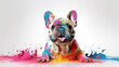 © paco - Bulldog Francés Manchado de Pintura y Feliz en Fondo Blanco. IA Generativa