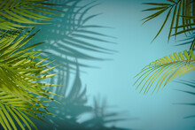 Background With Palm Shadow
