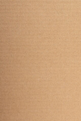 Poster - Cardboard paper texture background