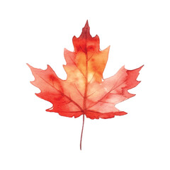 Wall Mural - Beautiful watercolor red maple leaf Canada day white background.