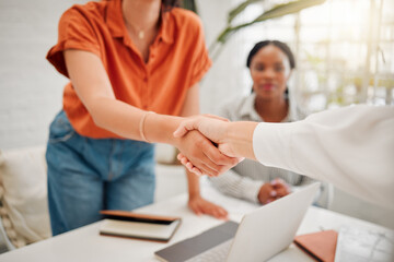 Canvas Print - Businesswomen shaking hands in the office for a deal, partnership or corporate collaboration. Meeting, welcome and closeup of female employees with a handshake for an onboarding, hiring or agreement.