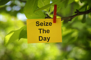 A yellow paper note with the phrase Seize The Day on it attached to a tree branch with a clothes pin