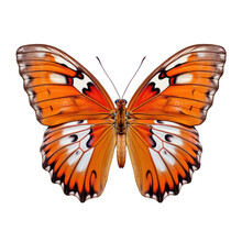 Gulf Fritillary Butterfly -  Agraulis Vanillae 1. Transparent PNG. Generative AI
