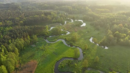 Wall Mural - Beautiful spring morning over the forest and river - drone aerial view	