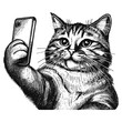 funny cat taking selfie vector sketch