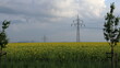 © Libor - High voltage pylons. Field with flowering oilseed rape. High voltage power lines. Electrical distribution network. Infrastructure.