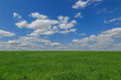 eine grüne Wiese mit Horizont an einem schönen hellen Sommertag mit blauem Himmel und weisen Wolken