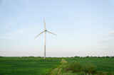 Fototapeta  - Turbiny wiatrowe - odnawialne źródła energii - wiatraki produkujące zieloną energie