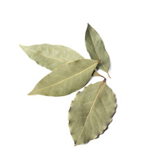 aromatic bay leaves on white background, top view