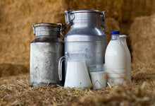 Glass Decanter, Aluminum Cans And Bottles With Fresh Natural Milk On Hay On Dairy Farm Hayloft. Healthy Farm Products