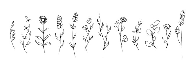 Wall Mural - Set of floral hand drawn illustration