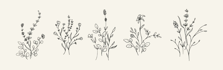 Aufkleber - Set of lavender illustration. Vintage floral hand drawn elements