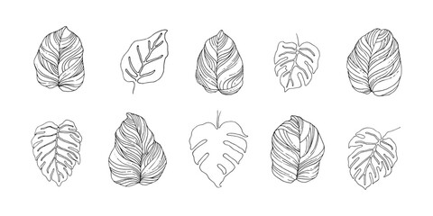 Aufkleber - Set of Philodendron leaf hand drawn illustration. Tropical leaf element