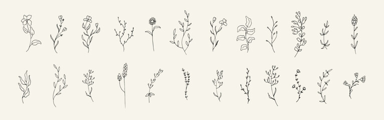 Aufkleber - Big bundle of floral hand drawn illustration. Collection of vintage wild flower element