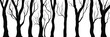 © Valerii - Silhouettes of trees, tree trunks and branches isolated on white background, natural background, banner