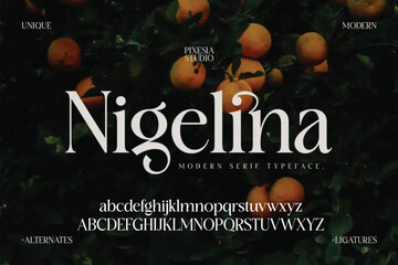 Nigelina Elegant Font Uppercase Lowercase and Number. Classic Lettering Minimal Fashion Designs. Typography modern serif fonts regular decorative vintage concept. vector illustration