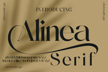 Alinea Luxury wedding alphabet letters font and number. Typography elegant classic lettering serif fonts decorative vintage retro concept. vector illustration