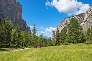 Wall Mural - beautiful alp valley with hikers