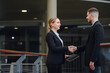 © เลิศลักษณ์ ทิพชัย - Portrait of Happy smiling business woman handshake with business man Business mergers and acquisitions image of business people handshake to teamwork