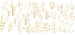 Set of golden floral branches and herbs silhouettes. Elegant botanic elements for wedding. Vector isolated spring gold flourish borders.