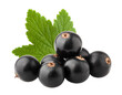 Black currant isolated on white background, full depth of field
