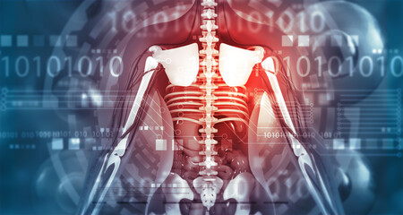 Sticker - Human anatomy on digital technology background. 3d illustration