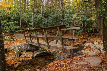 Sticker - Rustic wooden bridge situated in a tranquil forest landscape