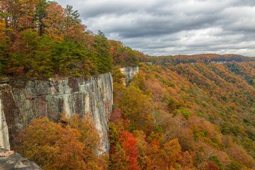 Poster - Aerial view of vibrant autumn landscape in New River Gorge National Park at the daytime