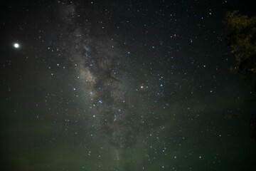 Wall Mural - view of a sky full of bright starts during the night.