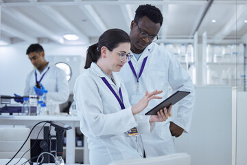 Poster - Research, staff and black man with a woman, tablet and typing in a laboratory, science and healthcare innovation. Coworkers, researchers or female employee with male scientist, technology or teamwork
