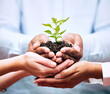 © Micah C/peopleimages.com - Plants, hands and teamwork of business people for eco friendly growth, sustainability support and agriculture. Sapling soil, women, men or group palm for sustainable gardening, nonprofit or earth day