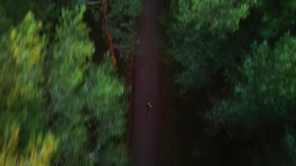 Poster - Aerial top of a runner in a dense green forest