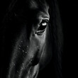 Dramatic black and white close up portrait of horse face - Generative AI