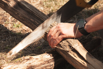 Wall Mural - A man saws the tree trunk with a hand saw, close-up photo