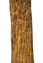 Aufkleber - Trunk of a tree Isolated On transparent Background.