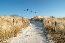 Wooden Path To The Sea - Dunes, Sand And Sea