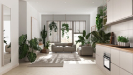 Wall Mural - Blurred background, love for plants concept. Kitchen and living room interior design. Parquet, sofa and many house plants. Urban jungle idea