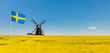 Schwedische Flagge vor einem gelben Rapsfeld und blauem Himmel mit Windmühle