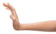 Human Hand signing stop isolated transparent  PNG photo. Woman's hand symbolizing a stop gesture.