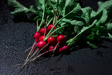 Canvas Print - Wet radish with tops on a black background. Fresh vegetables