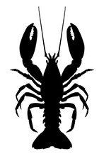 Lobster Silhouette Isolated On White Background. Vector Illustration