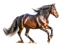 A Brown Horse Galloping On Its Hind Legs, Isolated On A Transparent Background. Generative AI