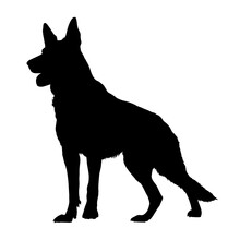 German Shepherd Dog Silhouette Isolated On A White Background. Vector Illustration