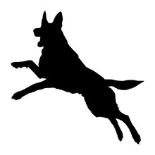 Defense German Shepherd Dog Silhouette Isolated On A White Background. Vector Illustration
