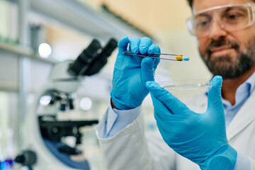 Wall Mural - close up of pharmacist working on new drug in laboratory.