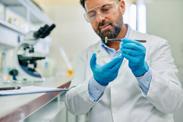 Wall Mural - close up of scientist developing new medicine during research in pharmaceutical lab.