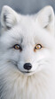 arctic fox with IA generativa