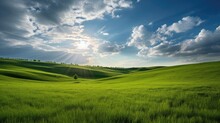 Green Grass Field Landscape. Generative AI