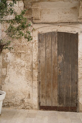 Wall Mural - mediterranean style old wooden gate in stone wall  and olive tree in the flower pot